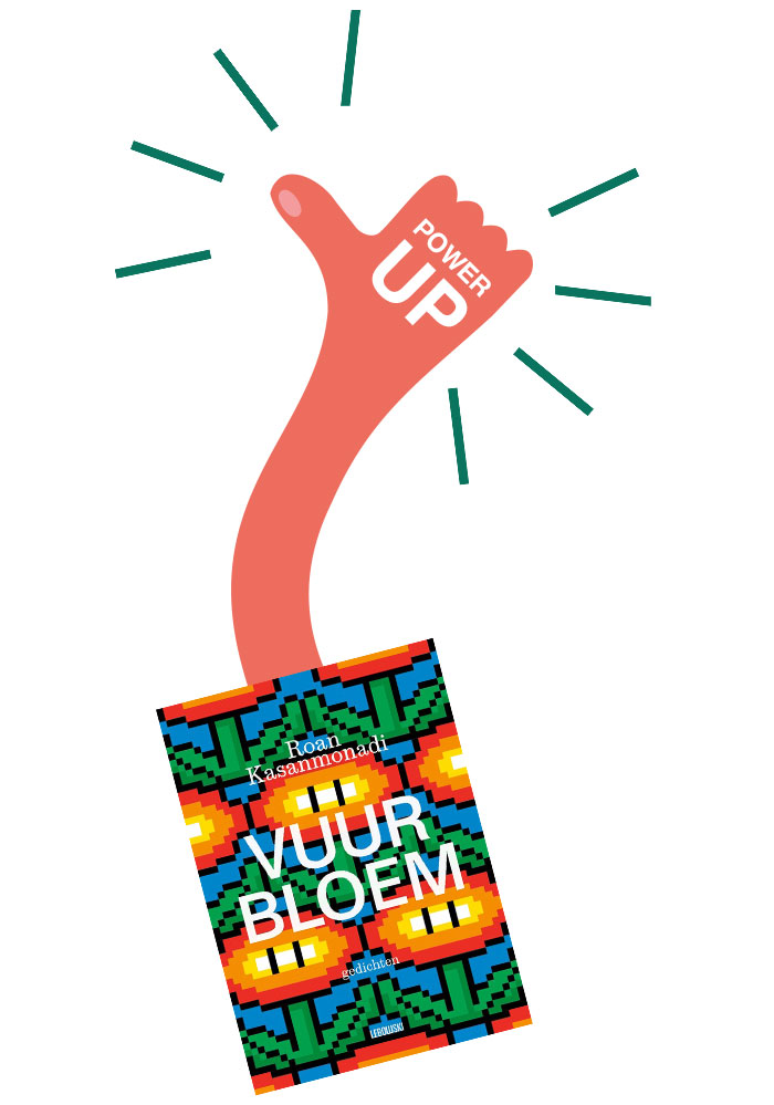 Een foto van het boek van Roan